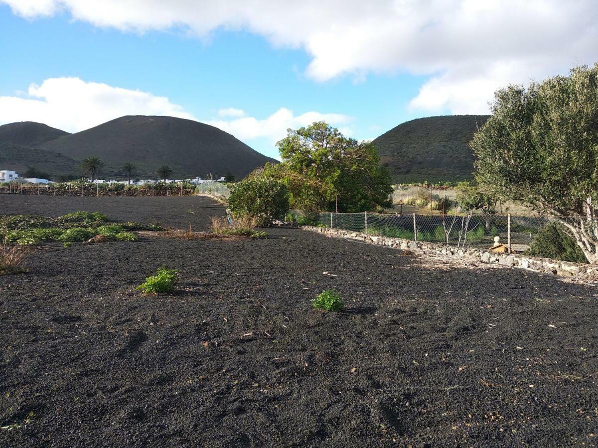 Finca La Tabaiba Máguez エクステリア 写真