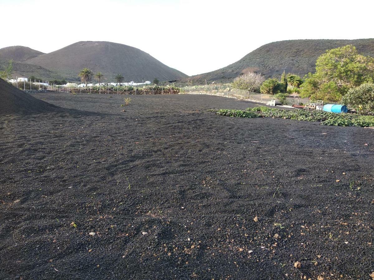 Finca La Tabaiba Máguez エクステリア 写真